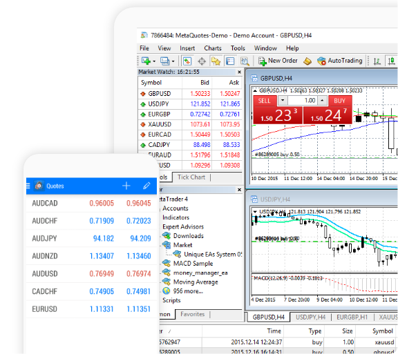 Option Trader